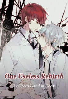 One Useless Rebirth One Useless Rebirth