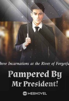 Pampered By Mr President! Pampered By Mr President!