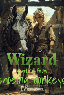 Wizard starting from shoeing donkeys Wizard starting from shoeing donkeys